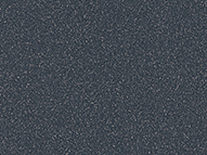 PSiSC